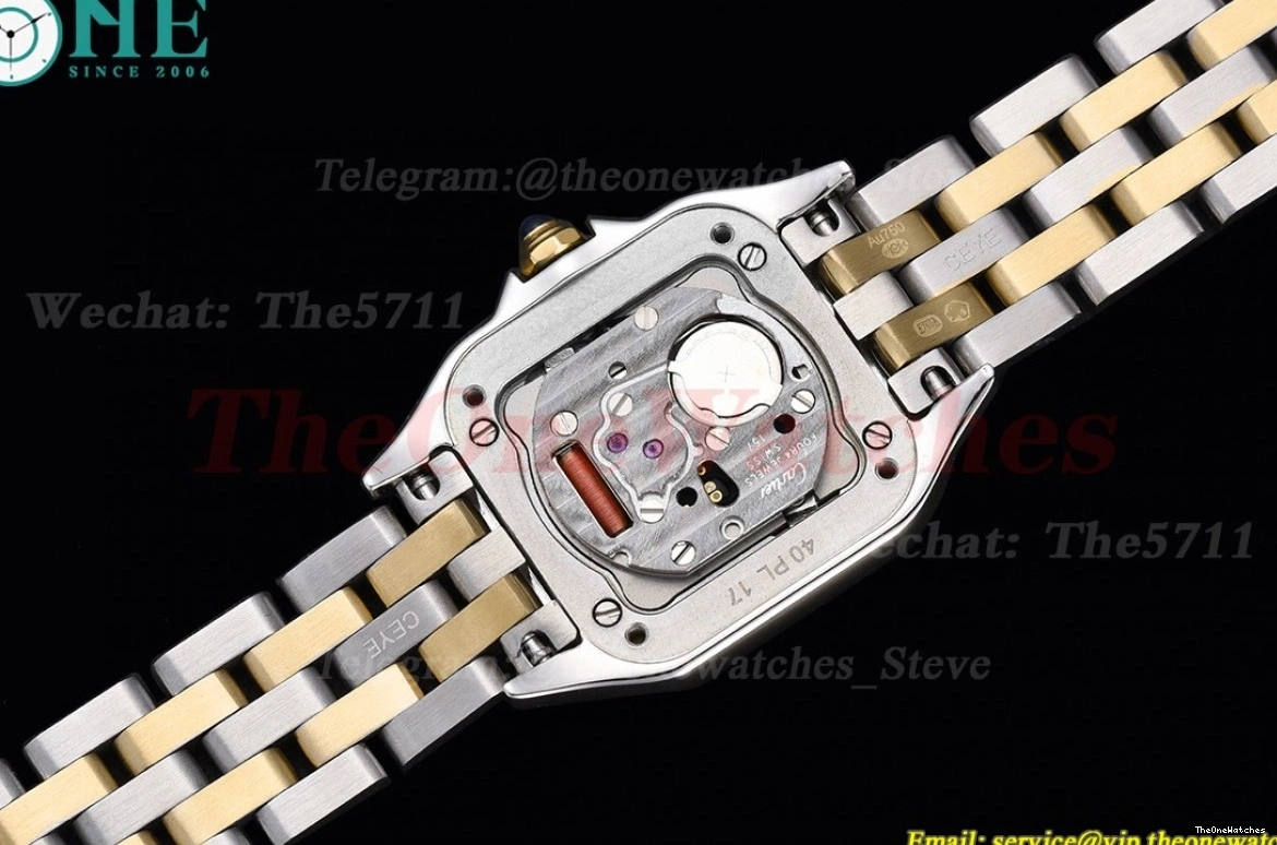 White Ladies De Qtz Swiss Dial Secrete SS 8848F YG Dia 22mm Panthere 0102